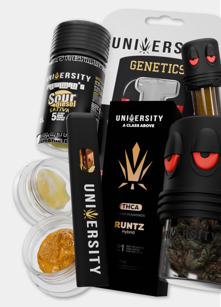 Brands Collective_Web-univresity